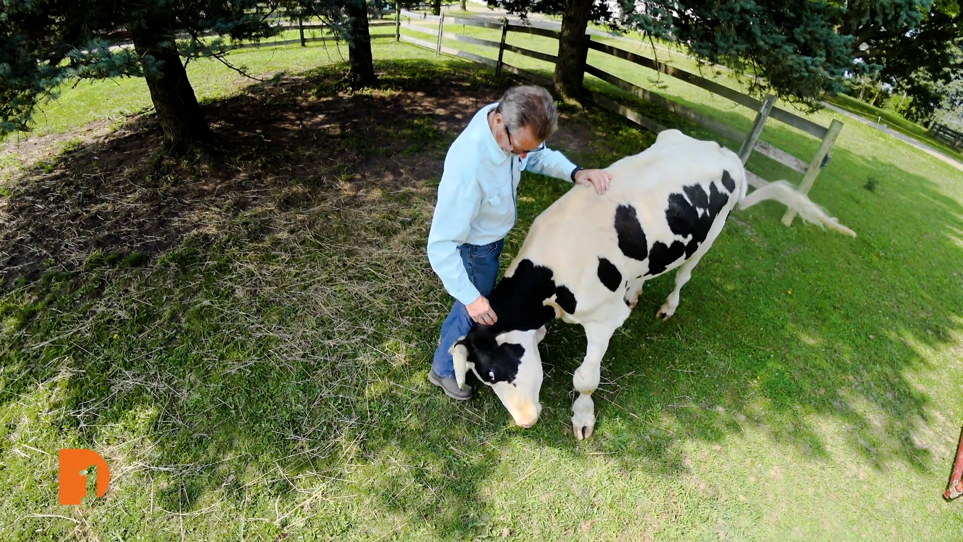 Barn Sanctuary provides Michigan farm animals refuge and a second chance
